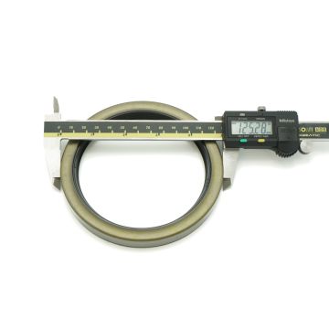 Oil Seal SB-100 x 125 x 13