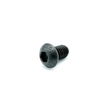 M6 x 10 Button Head Screw