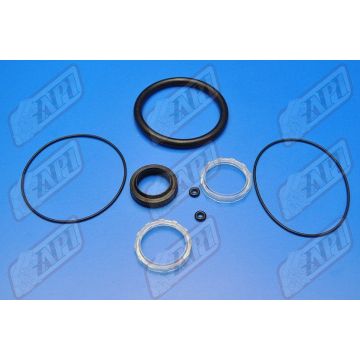 Seal Kit CA163A-PS